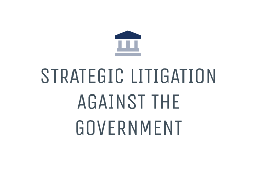 Strategic Litigation Against the Government